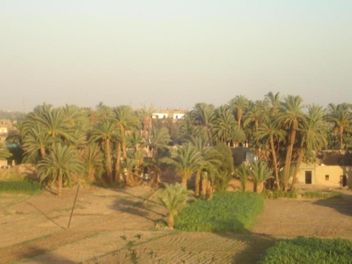 Rose Guest House Luksor Exterior foto
