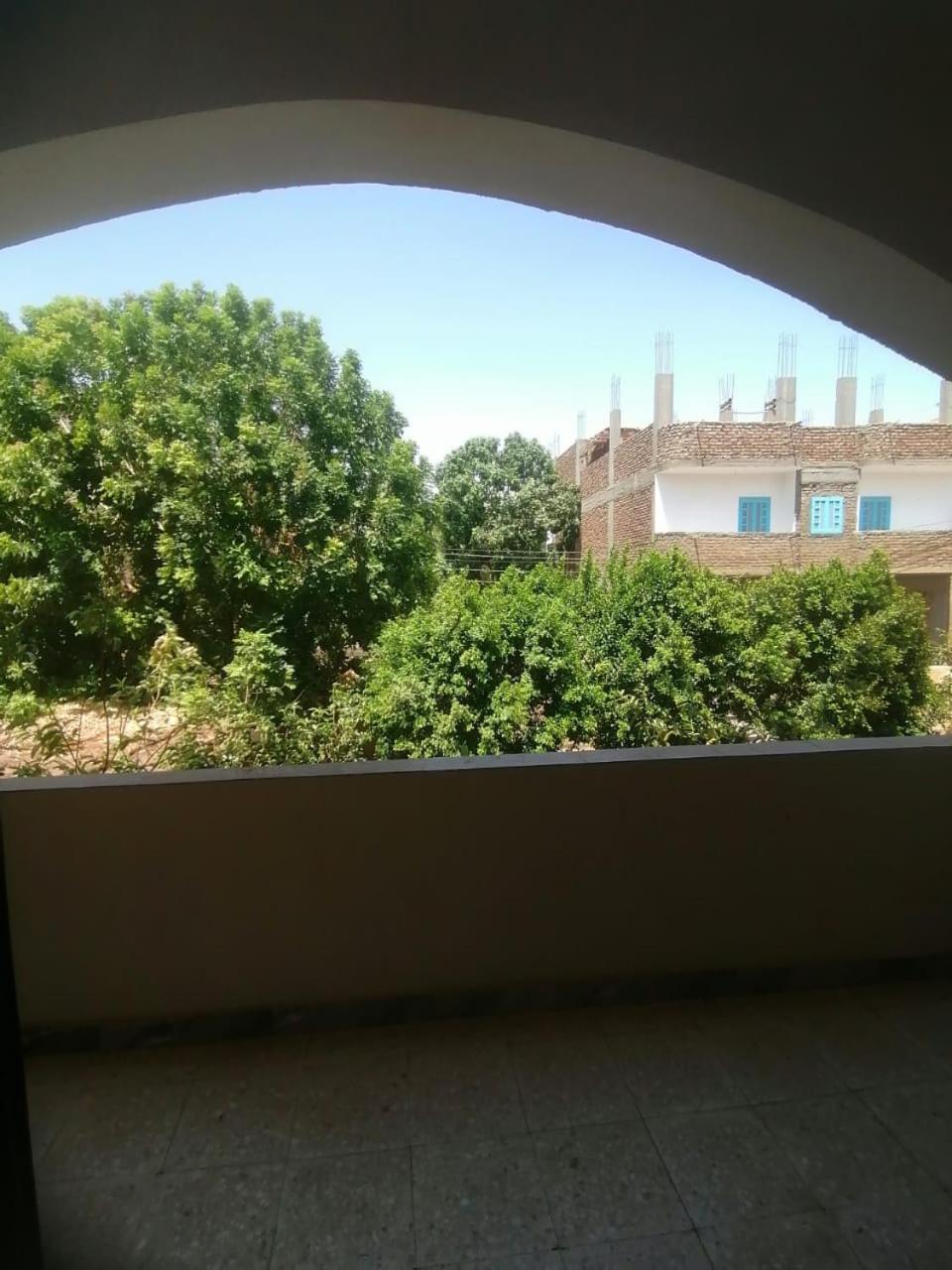 Rose Guest House Luksor Exterior foto