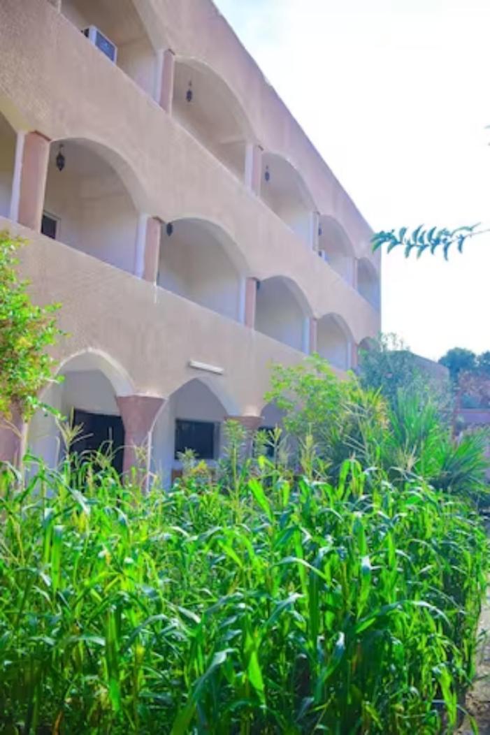Rose Guest House Luksor Exterior foto
