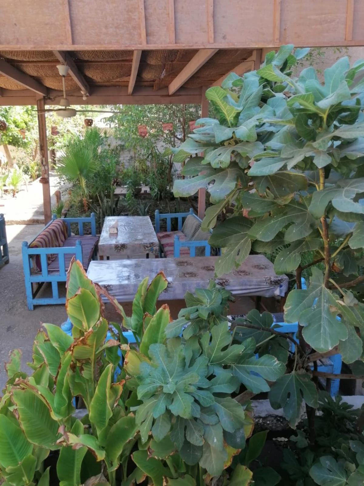 Rose Guest House Luksor Exterior foto