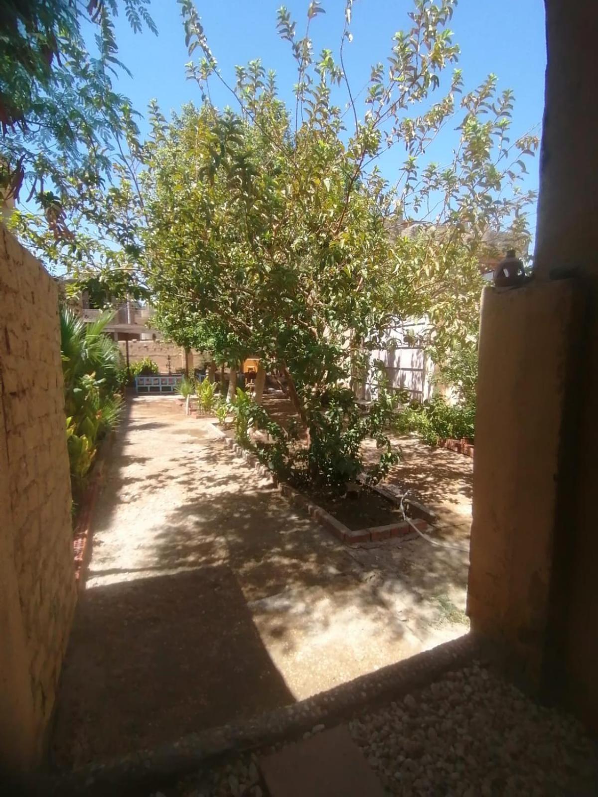 Rose Guest House Luksor Exterior foto