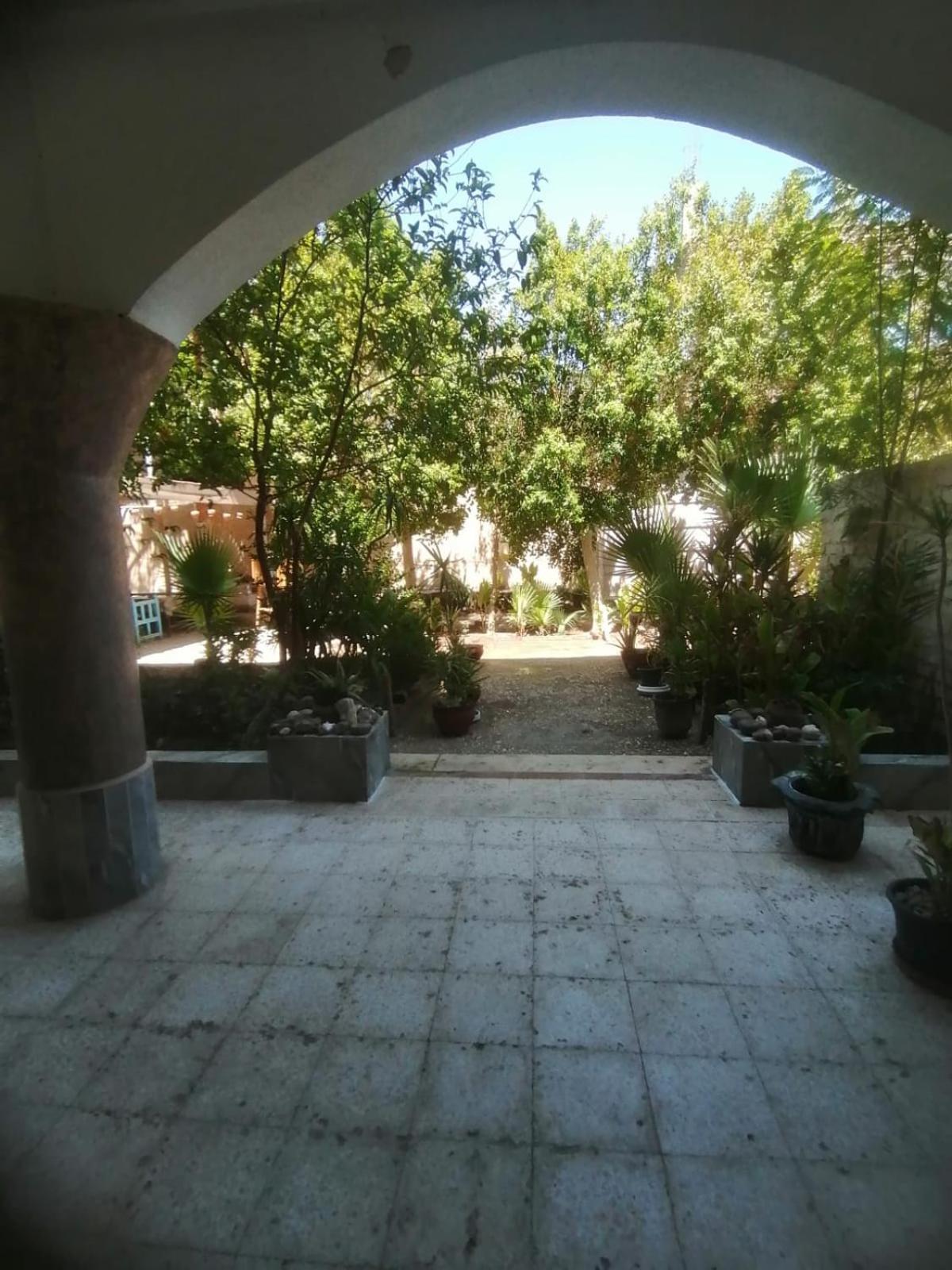 Rose Guest House Luksor Exterior foto