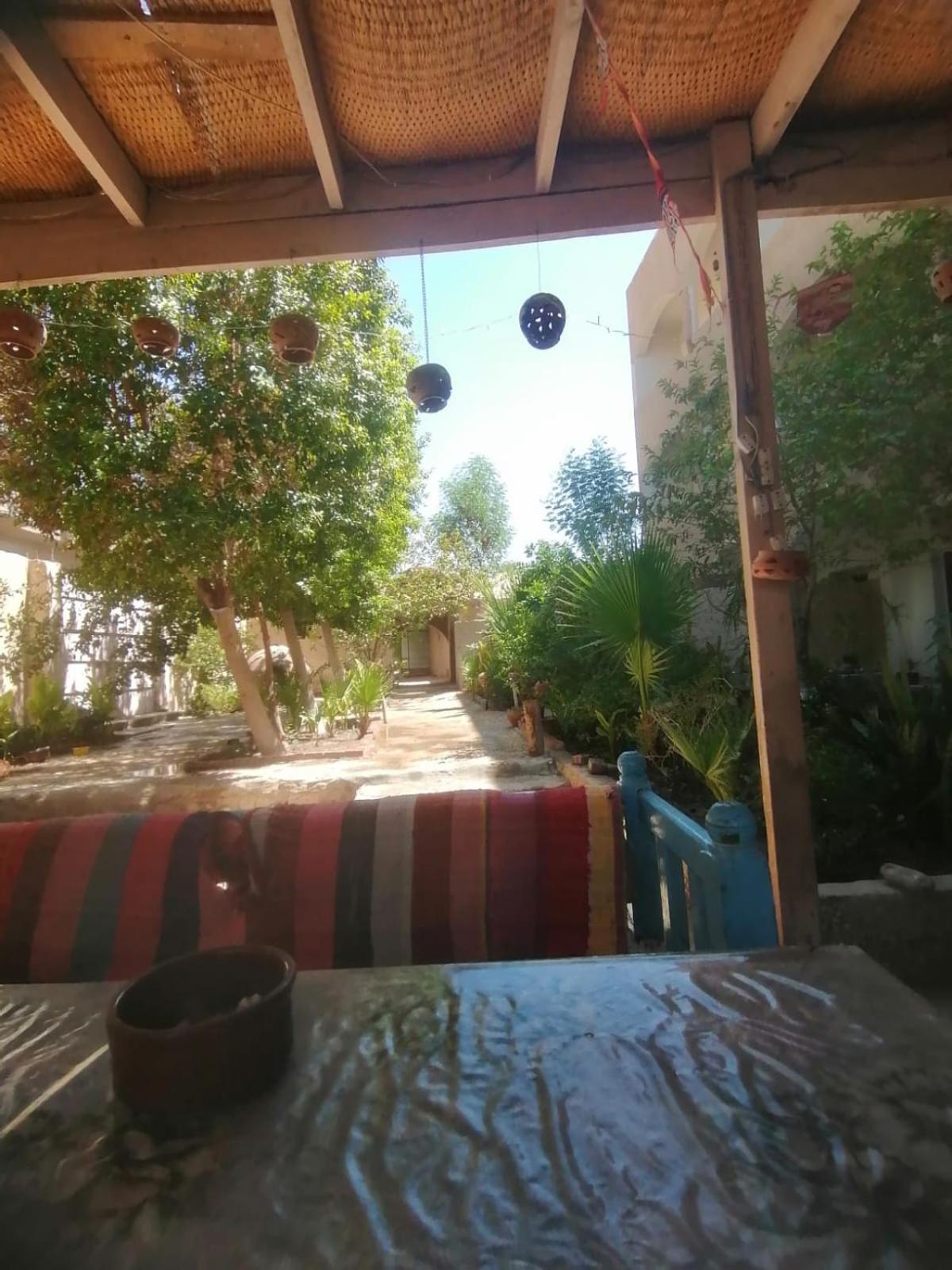 Rose Guest House Luksor Exterior foto