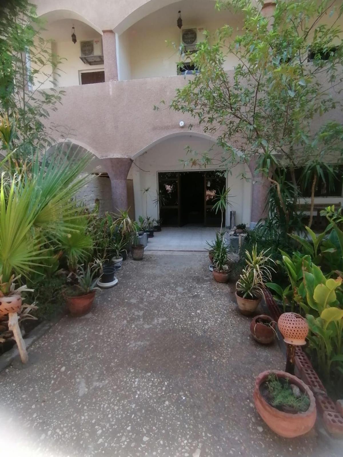Rose Guest House Luksor Exterior foto