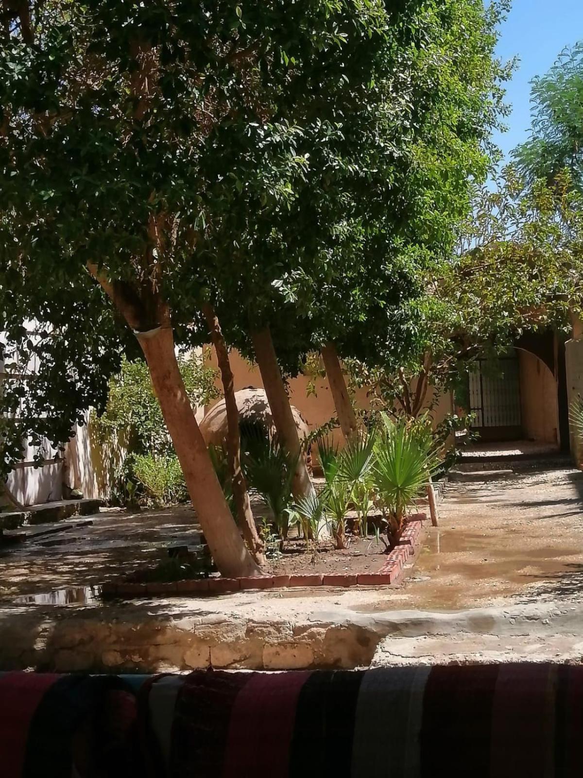 Rose Guest House Luksor Exterior foto
