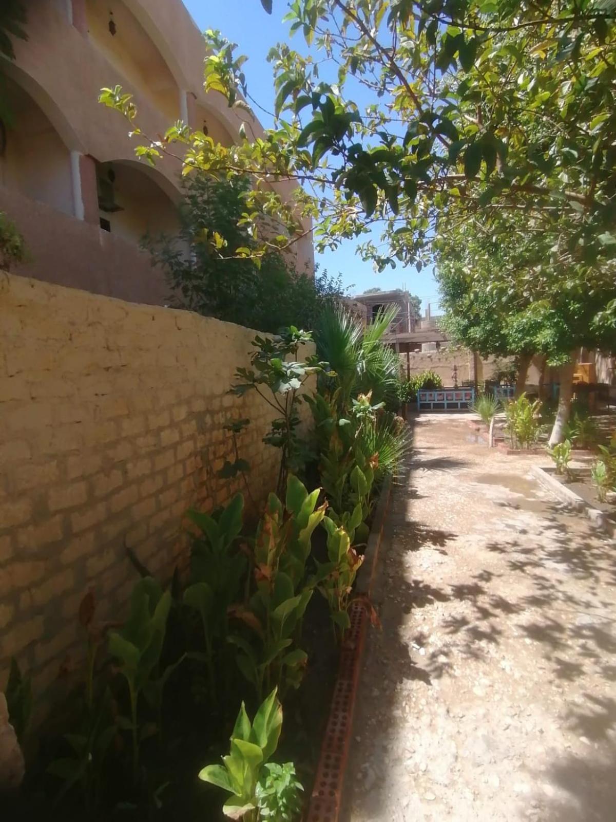 Rose Guest House Luksor Exterior foto